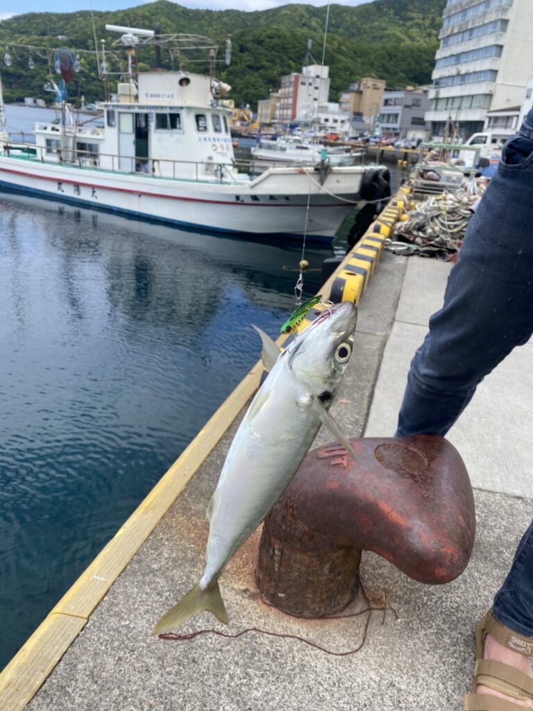 ドナルド、自炊