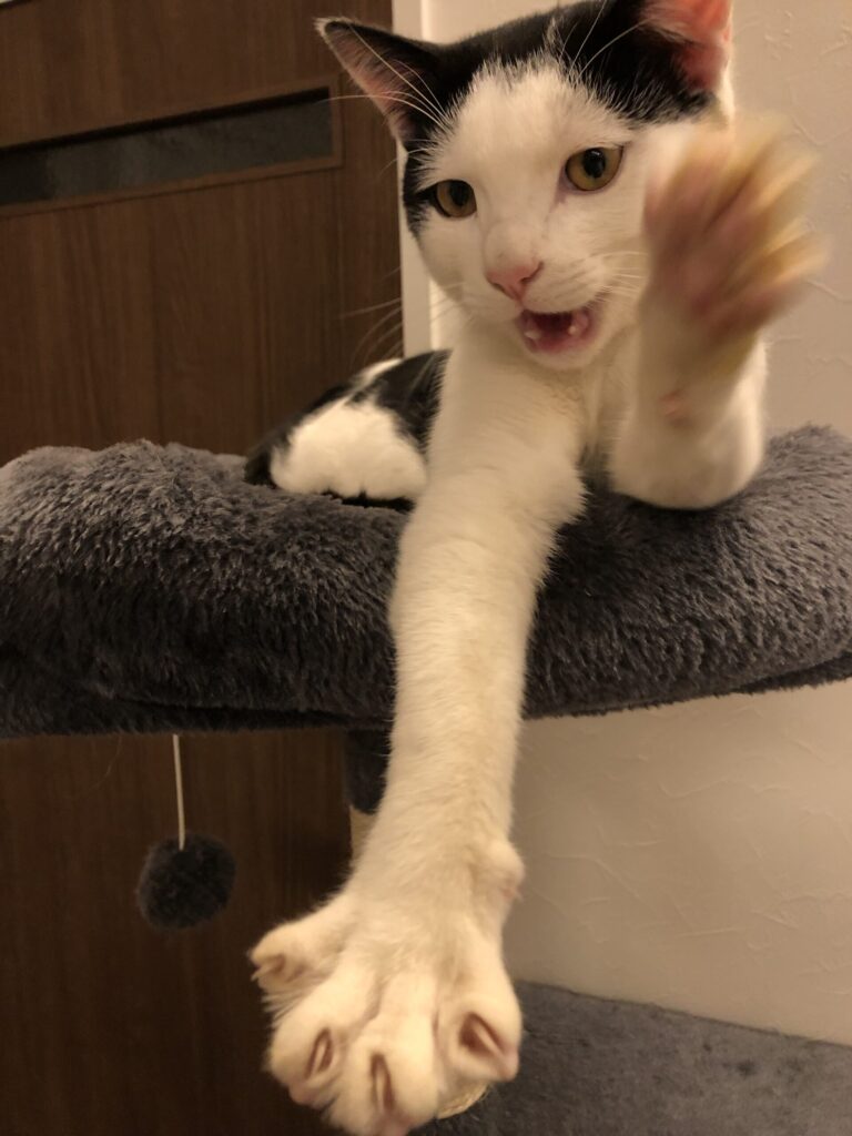 天災は…